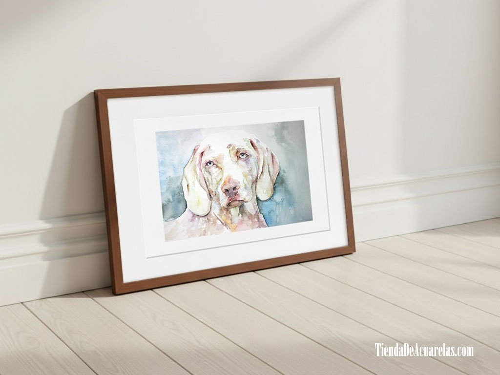 Acuarela Original perro Braco pintada a mano sobre papel