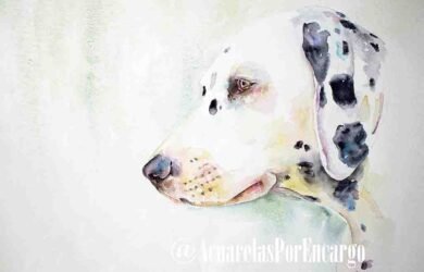 Dálmata retrato en acuarela sobre papel