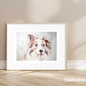 Acuarela Original BORDER COLLIE pintada a mano con acuarelas sobre papel.