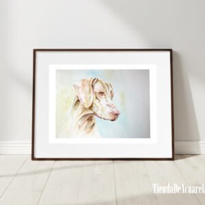 Acuarela Original perro Braco color marrón pintada a mano sobre papel