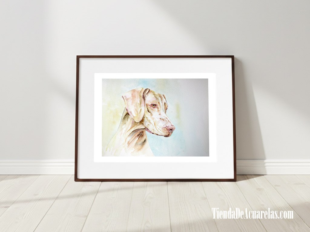 Acuarela Original perro Braco color marrón pintada a mano sobre papel