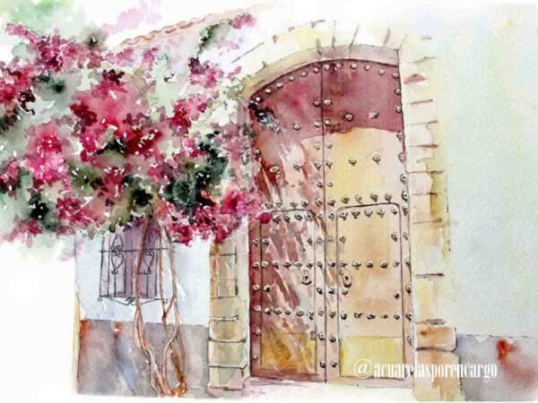 Puerta y buganvilla | Tarifa