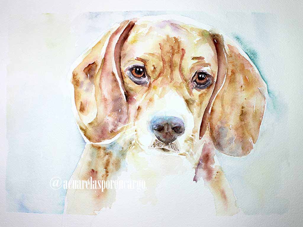 Acuarela Perro Beagle | Obra Original - Imagen 2