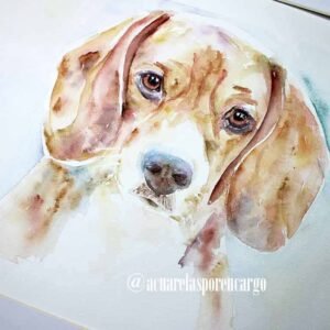 Beagle