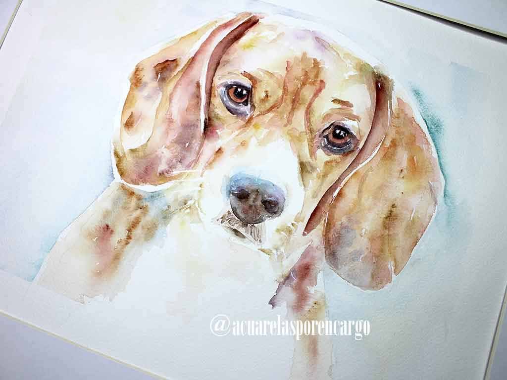 Acuarela perro Beagle pintada a mano con acuarelas sobre papel