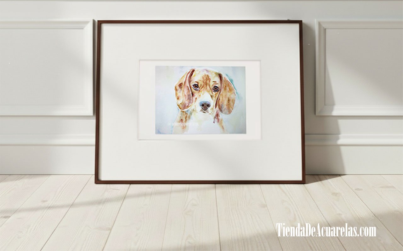 Acuarela perro Beagle pintada a mano con acuarelas sobre papel