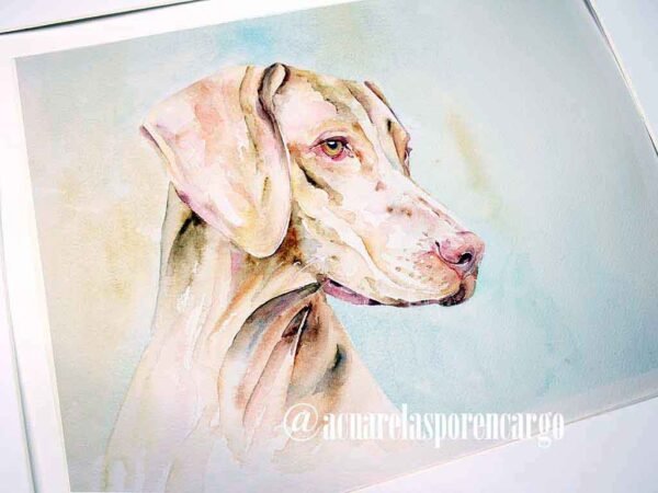 Braco II - Imagen 2