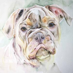 Bulldog
