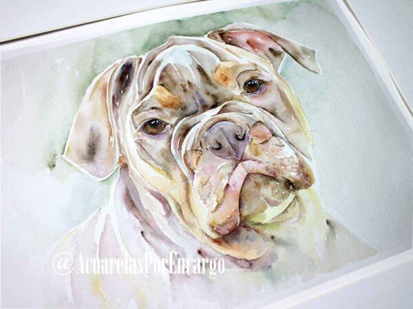 Bulldog - Imagen 2