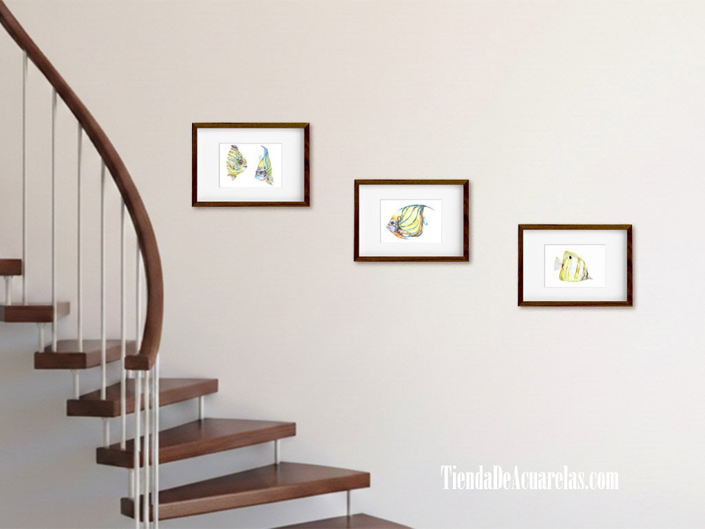 Láminas en acuarela Peces de colores en A5