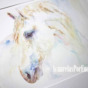 Caballo