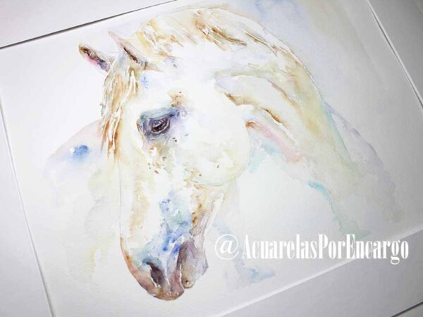 Caballo