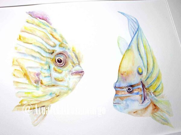 Peces de Coral - Imagen 3