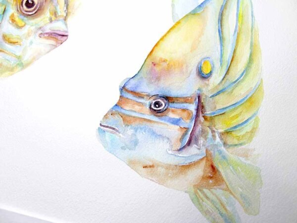 Peces de Coral - Imagen 2