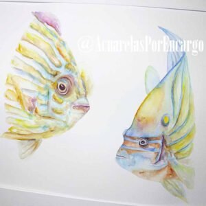 Peces de Coral