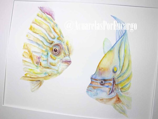 Peces de Coral