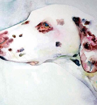 Retrato de Perro en Acuarelas y por Encargo
