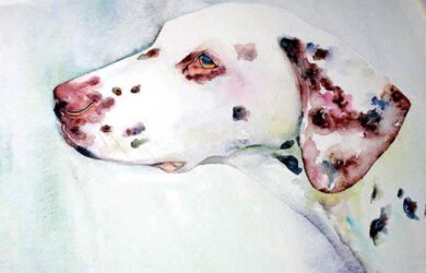 Retrato de Perro en Acuarelas y por Encargo