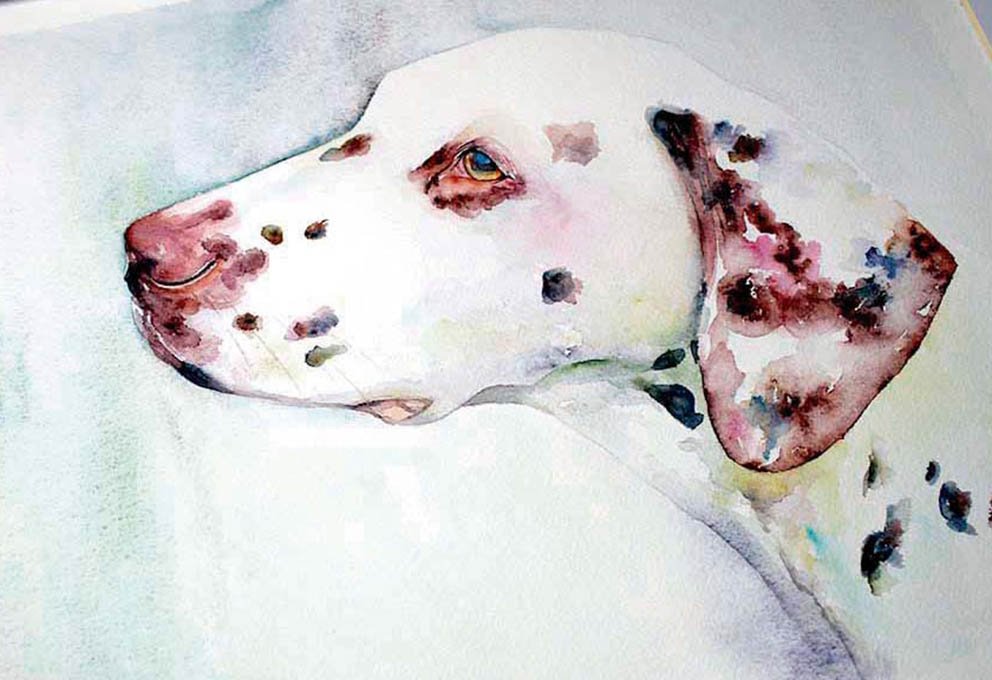 Retrato de Perro en Acuarelas y por Encargo