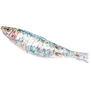 Lámina acuarela Sardina, Xouba en A5