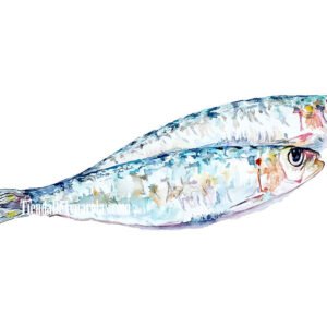 Lámina acuarela pareja de Sardinas, Xoubas
