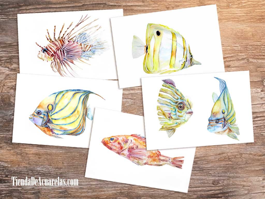 Láminas en acuarela Peces de colores en A5