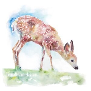 Acuarela Ciervo en el bosque pintado a mano para dormitorio infantil