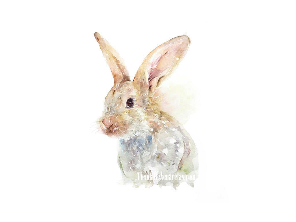 Acuarela original pequeño Conejito pintado a mano para dormitorio infantil