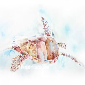 Acuarela original TORTUGA marina pintada a mano con acuarelas sobre papel