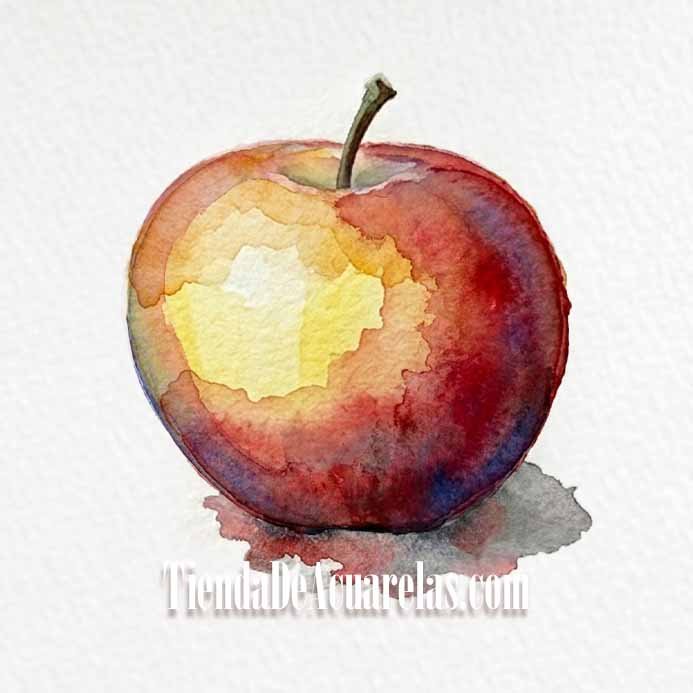 Proceso Manzana pintada por capas en acuarela. Cuarta capa, seguimos con el volumen aplicando mezclas con más pigmento y menos agua.