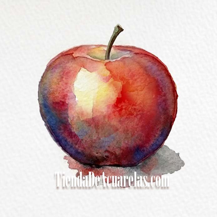 Proceso en acuarela. Cómo pintar una manzana roja por capas, preservando las luces y dando volumen