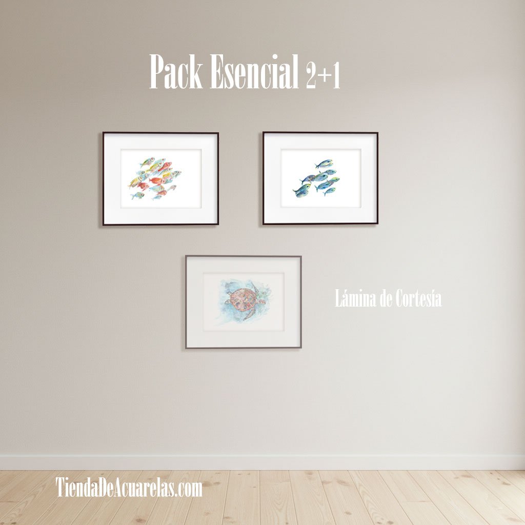 Elige tu combinación favorita. Combina las láminas que más te inspiren de cualquier categoría y nosotros completamos tu conjunto. Pack Trío: 2 láminas y recibe 1 de cortesía (3 en total) | TiendaDeAcuarelas.com